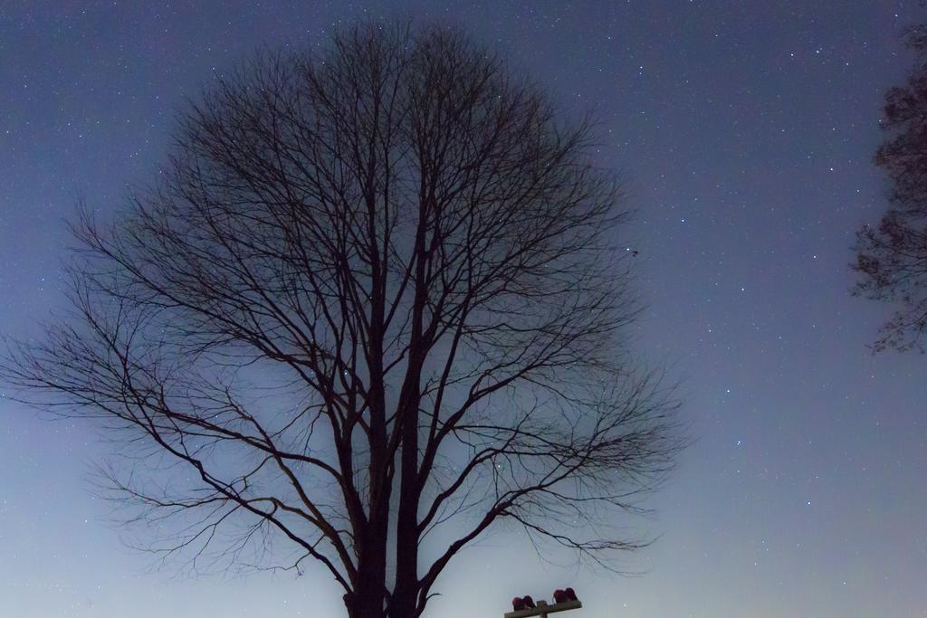 Minami Aso Luna Observatory Auberge Mori No Atelier Minamiaso Екстериор снимка