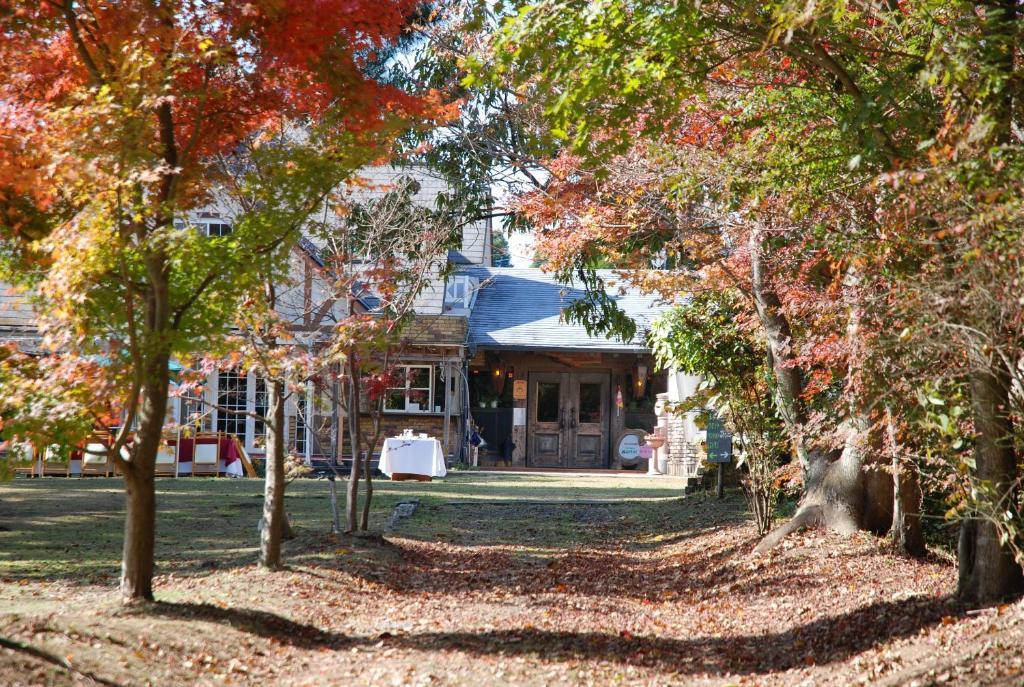 Minami Aso Luna Observatory Auberge Mori No Atelier Minamiaso Екстериор снимка