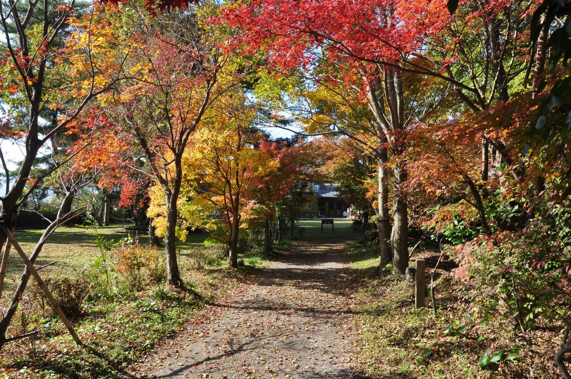 Minami Aso Luna Observatory Auberge Mori No Atelier Minamiaso Екстериор снимка