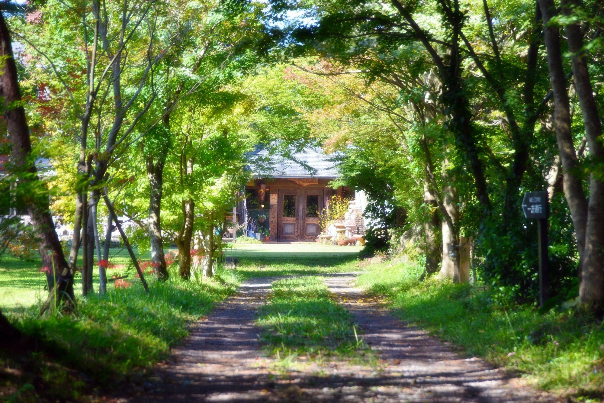 Minami Aso Luna Observatory Auberge Mori No Atelier Minamiaso Екстериор снимка